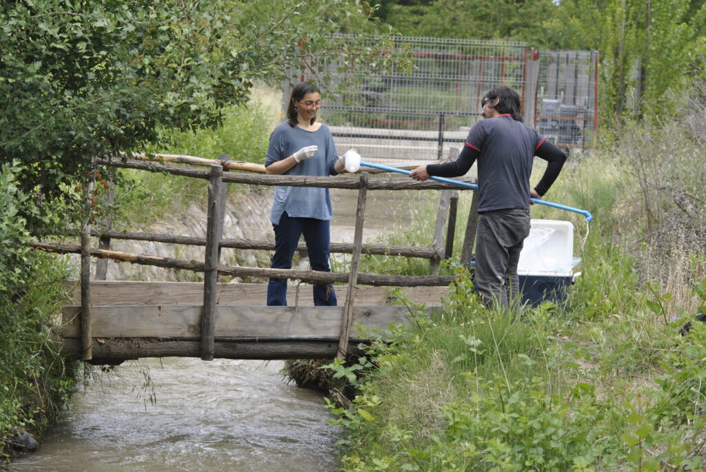 ¿Por qué monitorear el ambiente?